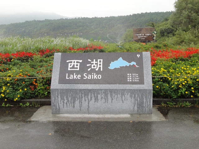 西湖(富士五湖)一周サイクリング