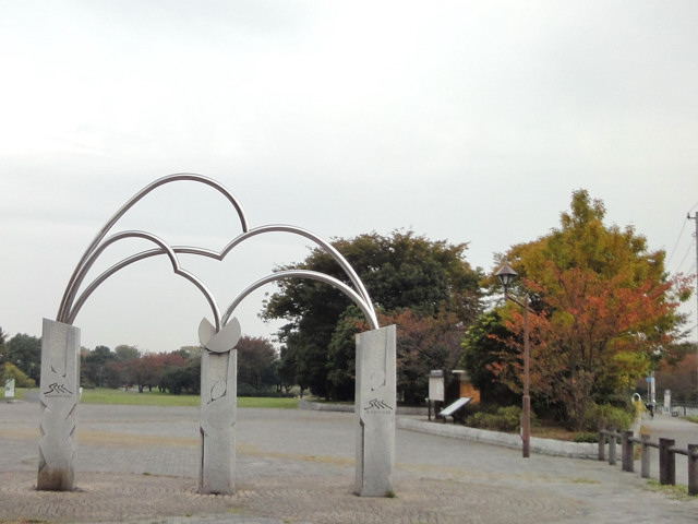 東京探訪：秋の水元公園へ紅葉度合いを見に行く